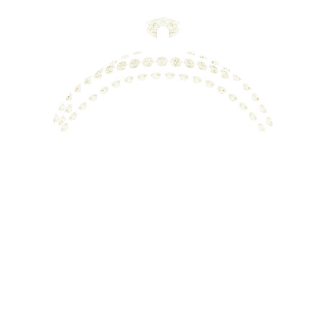 Product Variant Image