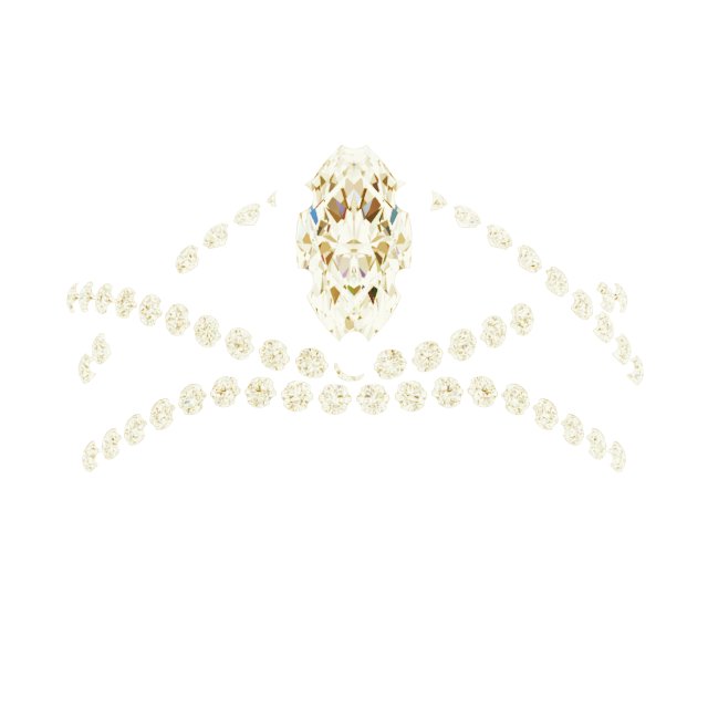 Product Variant Image