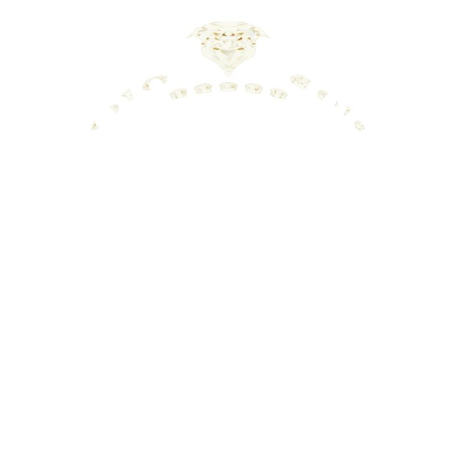 Product Variant Image