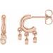 14K Rose 1/5 CTW Natural Diamond Fringe Hoop Earrings