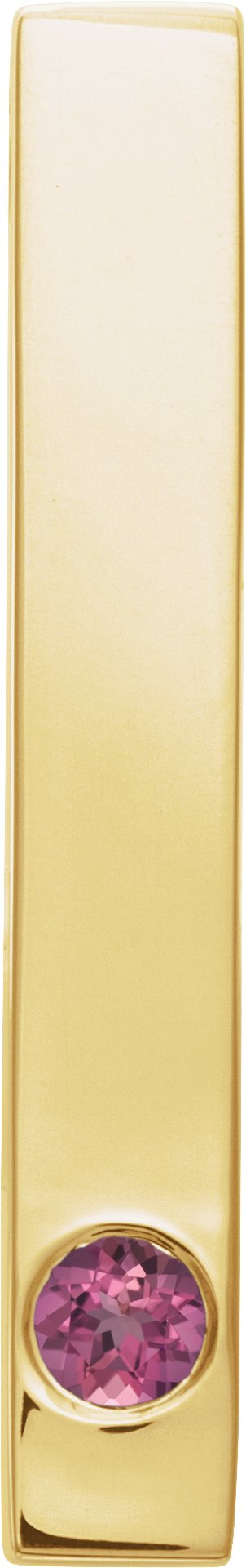 14K Yellow Pink Tourmaline Family Engravable Bar Slide Pendant Ref. 16233285