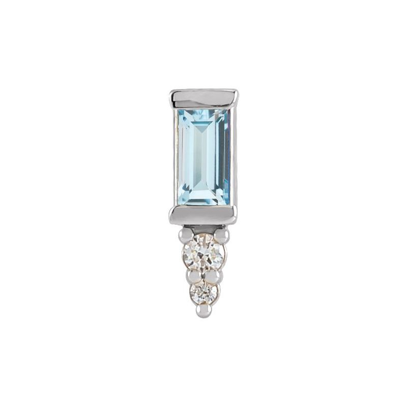 Accented Bar Earrings
