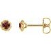 14K Yellow 4.5 mm Natural Mozambique Garnet Claw-Prong Rope Earrings