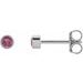 14K White 2 mm Round Natural Pink Tourmaline Micro Bezel-Set Earrings