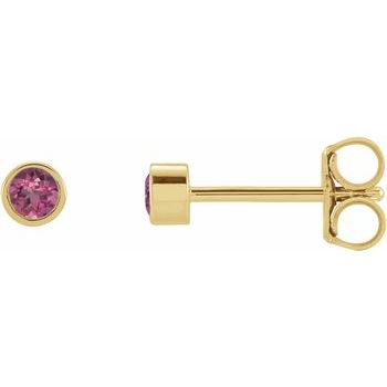 14K Yellow 2.5 mm Round Pink Tourmaline Micro Bezel Set Earrings Ref. 17988176