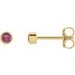 14K Yellow 2.5 mm Round Natural Pink Tourmaline Micro Bezel-Set Earrings