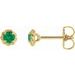 14K Yellow 4 mm Lab-Grown Emerald Claw-Prong Rope Earrings
