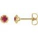 14K Yellow 5 mm Lab-Grown Ruby Claw-Prong Rope Earrings