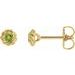 14K Yellow 4 mm Natural Peridot Claw-Prong Rope Earrings
