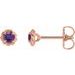 14K Rose 5 mm Natural Amethyst Claw-Prong Rope Earrings