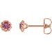 14K Rose 5 mm Natural Pink Tourmaline Claw-Prong Rope Earrings