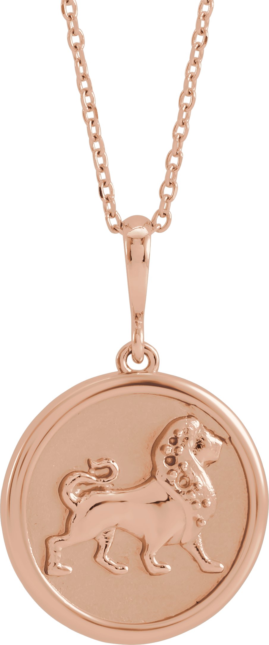 Lion Necklace or Charm/Pendant