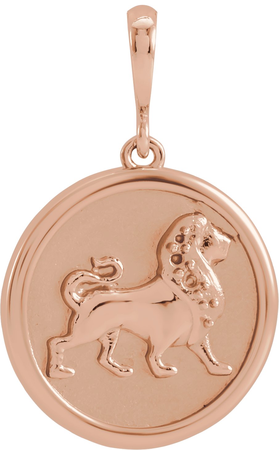 Lion Necklace or Charm/Pendant