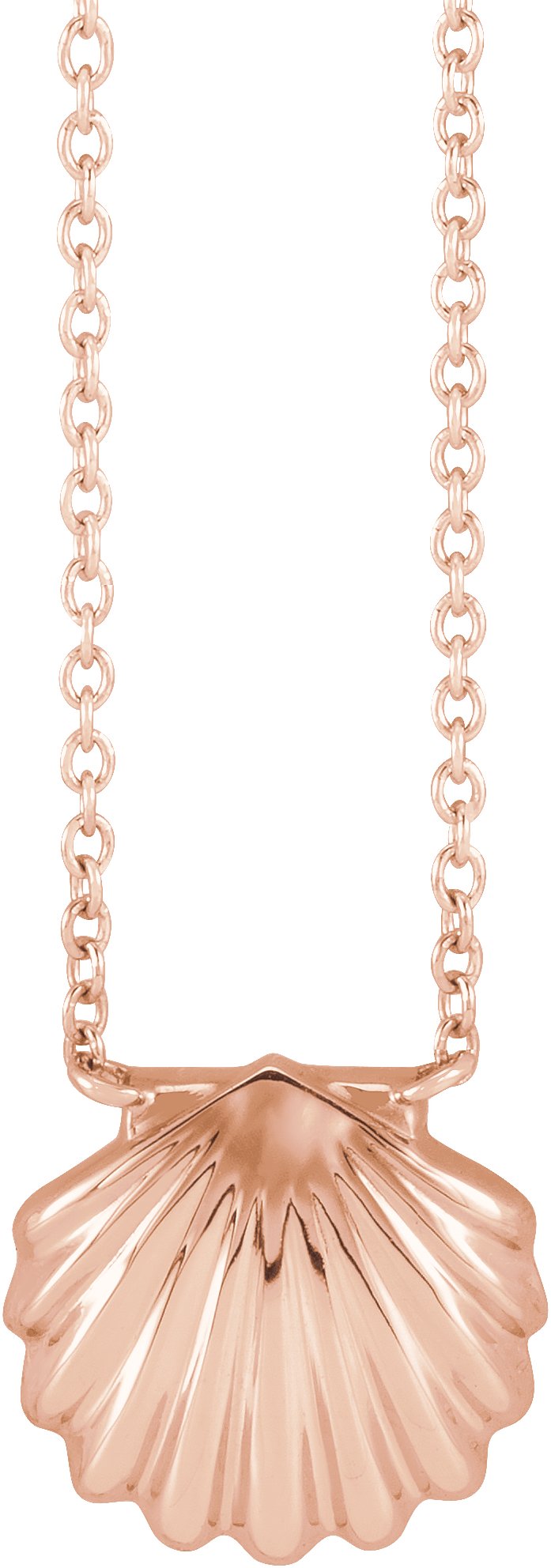 Shell Necklace or Center