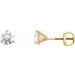 14K Yellow 3/4 CTW Natural Diamond Earrings