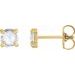 14K Yellow 3/4 CTW Rose-Cut Natural Diamond 4-Prong Claw Earrings