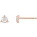 14K Rose 1/8 CTW Rose-Cut Natural Diamond Stud Earrings