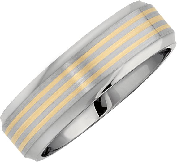 Titanium Beveled-Edge Band