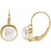 14K Yellow 7.5 mm Freshwater Cultured Pearl Lever Back Earring Each Ref. 169591