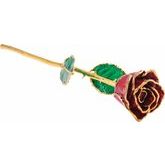 Lacquered Ruby Colored Sparkle Rose with Gold Trim