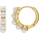 14K Yellow Freshwater Cultured Pearl 13.98 mm Hoop Earrings