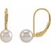 14K Yellow 6 mm Round Akoya Cultured Pearl Lever Back Earrings