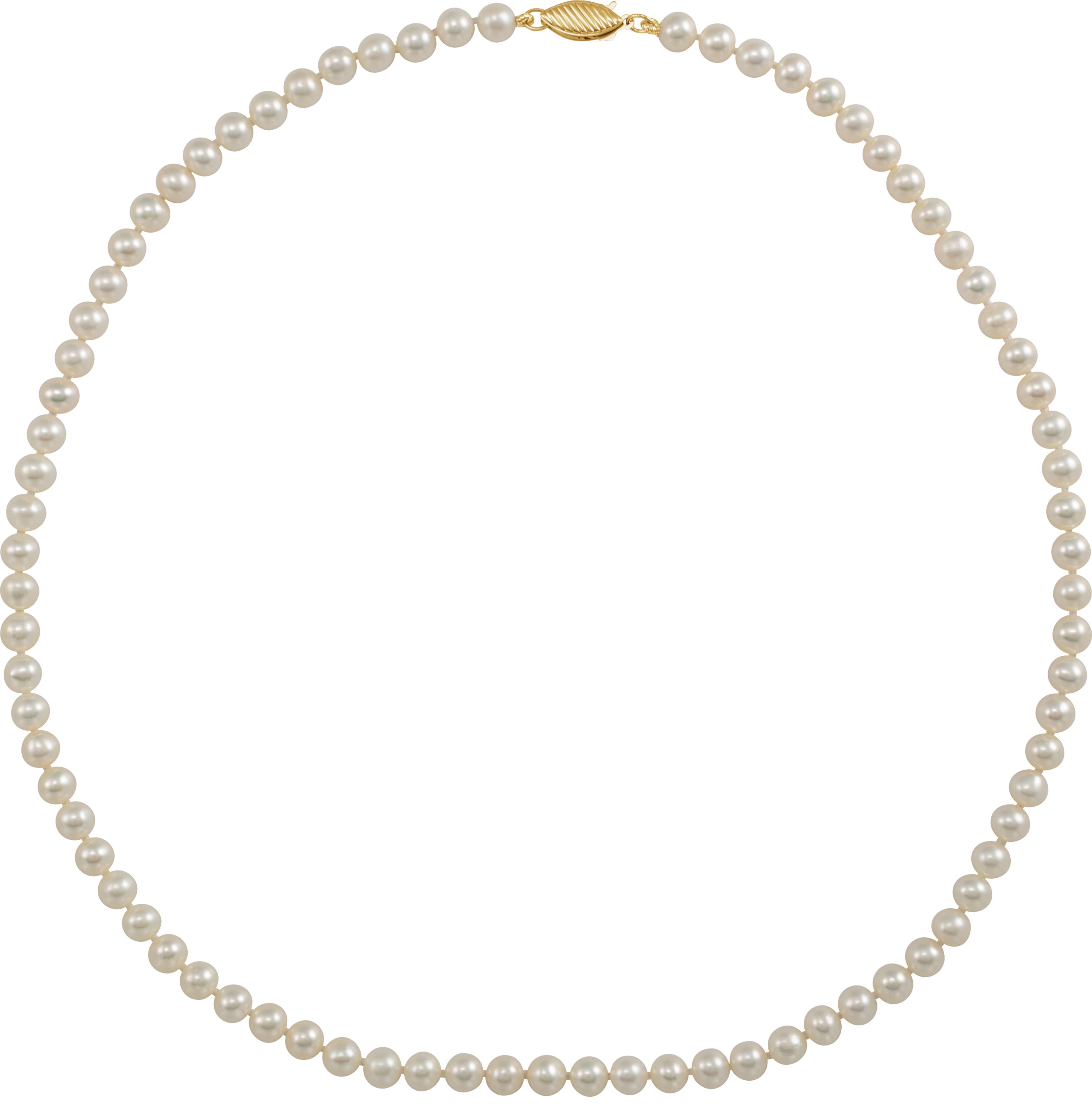 14K Yellow Cultured White Freshwater Pearl 16