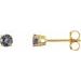 14K Yellow 3 mm Natural Gray Spinel Stud Earrings