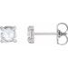 Platinum 3/4 CTW Rose-Cut Natural Diamond 4-Prong Claw Earrings