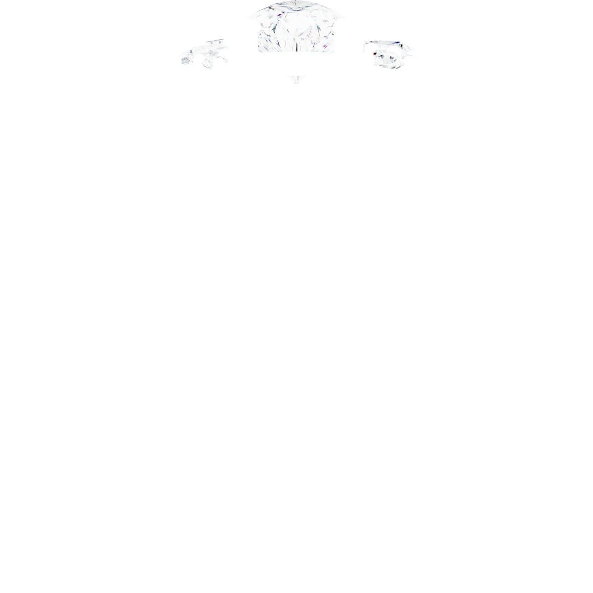 Product Variant Image