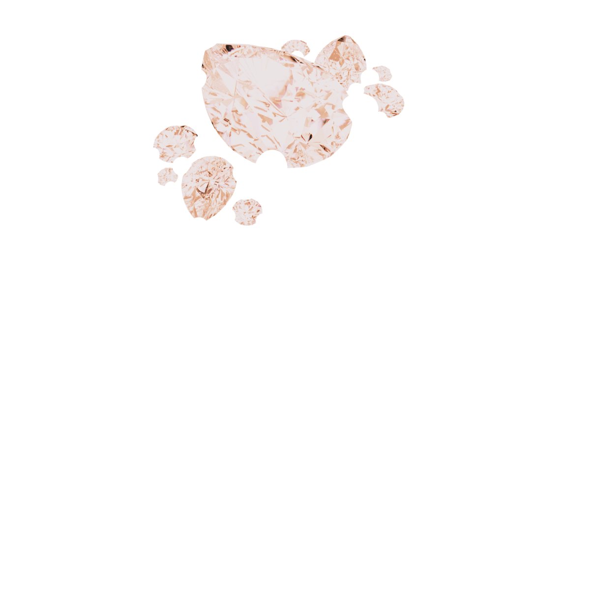 Product Variant Image