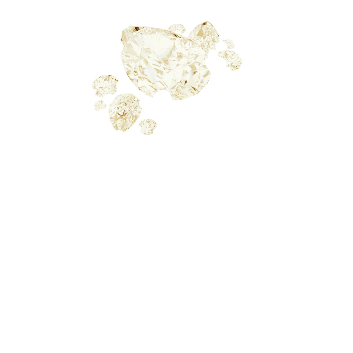 Product Variant Image