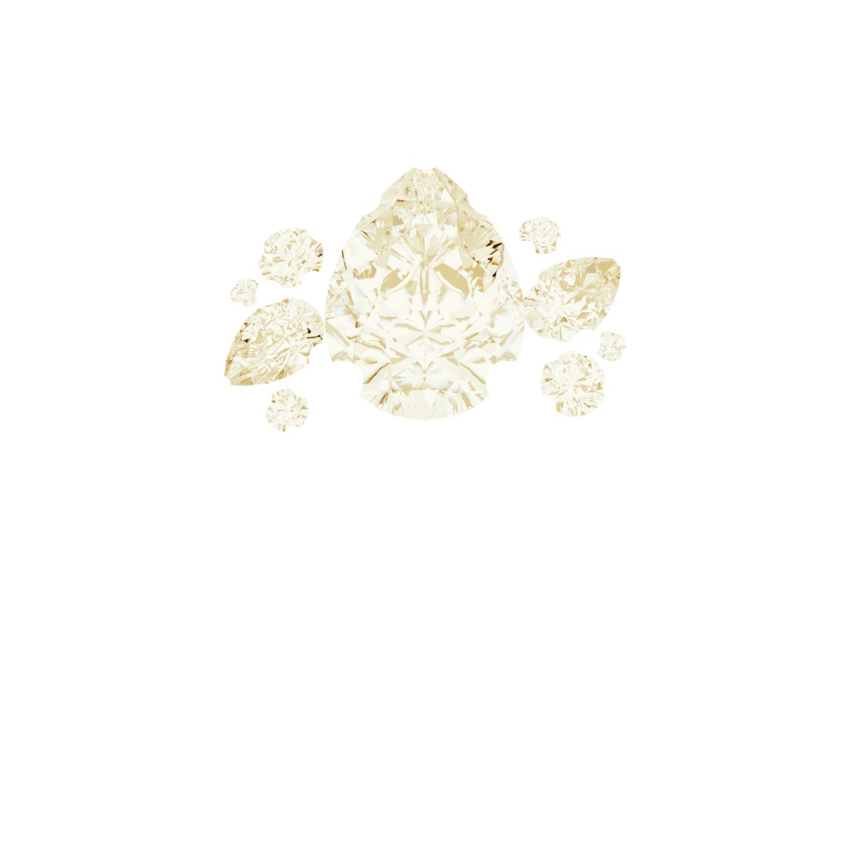 Product Variant Image