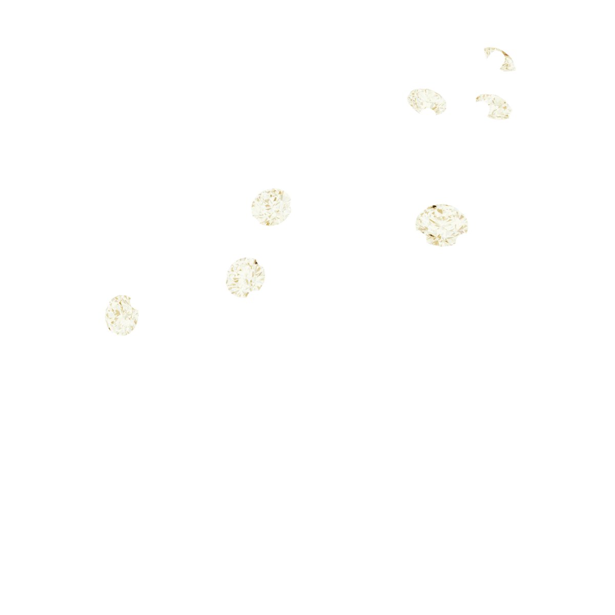 Floral Contour Band