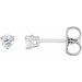 14K White 1/5 CTW Natural Diamond Friction Post Earrings