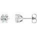14K White 1 1/2 CTW Natural Diamond Stud Earrings