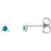 Platinum 2 mm Round Natural Turquoise Earrings