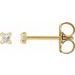 14K Yellow .05 CTW Rose-Cut Natural Diamond 4-Prong Claw Earrings
