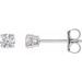 14K White 1/4 CTW Lab-Grown Diamond Stud Earrings