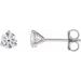 14K White 1/2 CTW Lab-Grown Diamond Stud Earrings