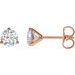 14K Rose 1 CTW Lab-Grown Diamond Stud Earrings