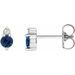 14K White Natural Blue Sapphire & .03 CTW Natural Diamond Earrings
