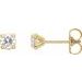 14K Yellow 3/8 CTW Natural Diamond Cocktail-Style Earrings