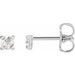 Platinum 1/8 CTW Rose-Cut Natural Diamond 4-Prong Claw Earrings