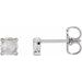 14K White 1/3 CTW Rose-Cut Natural Diamond 4-Prong Claw Earrings