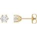 14K Yellow 3/4 CTW Natural Diamond Stud Earrings