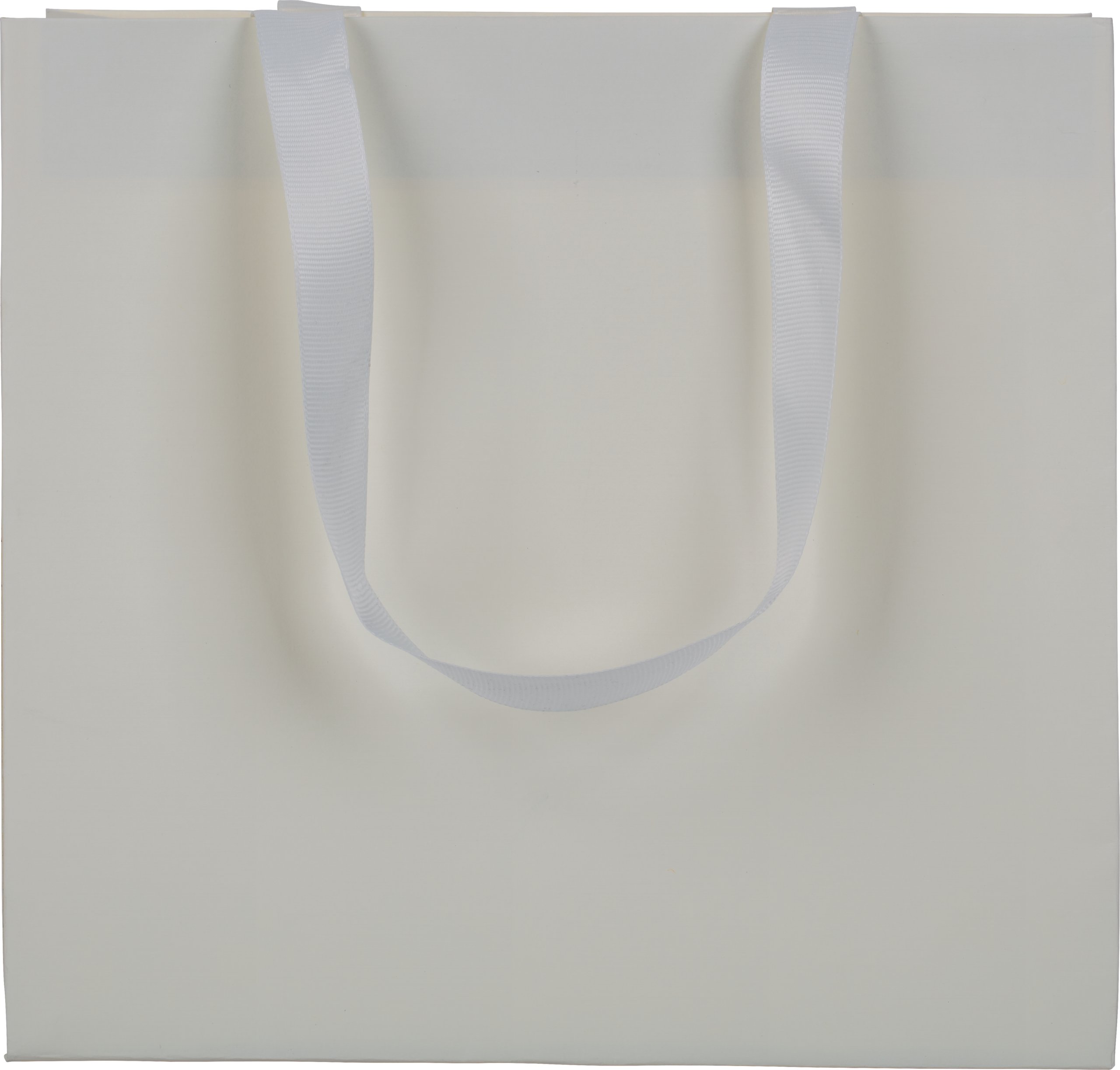 Ribbon Handle Collection Matte Paper Gift Bags