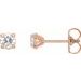 14K Rose 3/8 CTW Natural Diamond Cocktail-Style Earrings