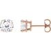 14K Rose 6.5 mm Stuller Lab-Grown Moissanite Stud Earrings with Friction Post