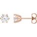 14K Rose 1 CTW Natural Diamond Stud Earrings